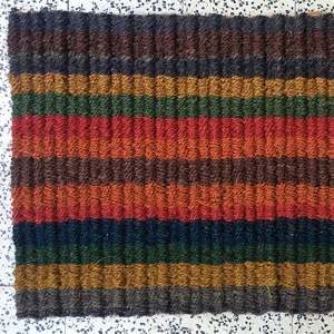 regenboog