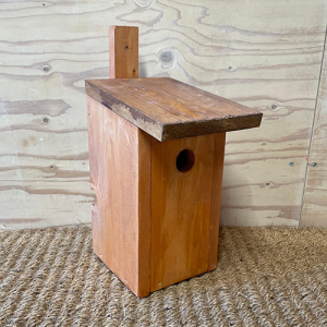 vogelbruin3