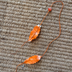 IMG_4481oranje